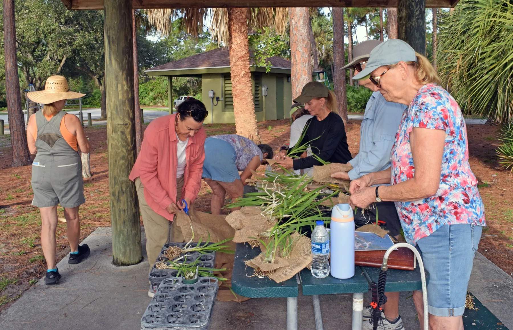 Martin County Orchid Society members preparing orchids together beneath a pavilion.